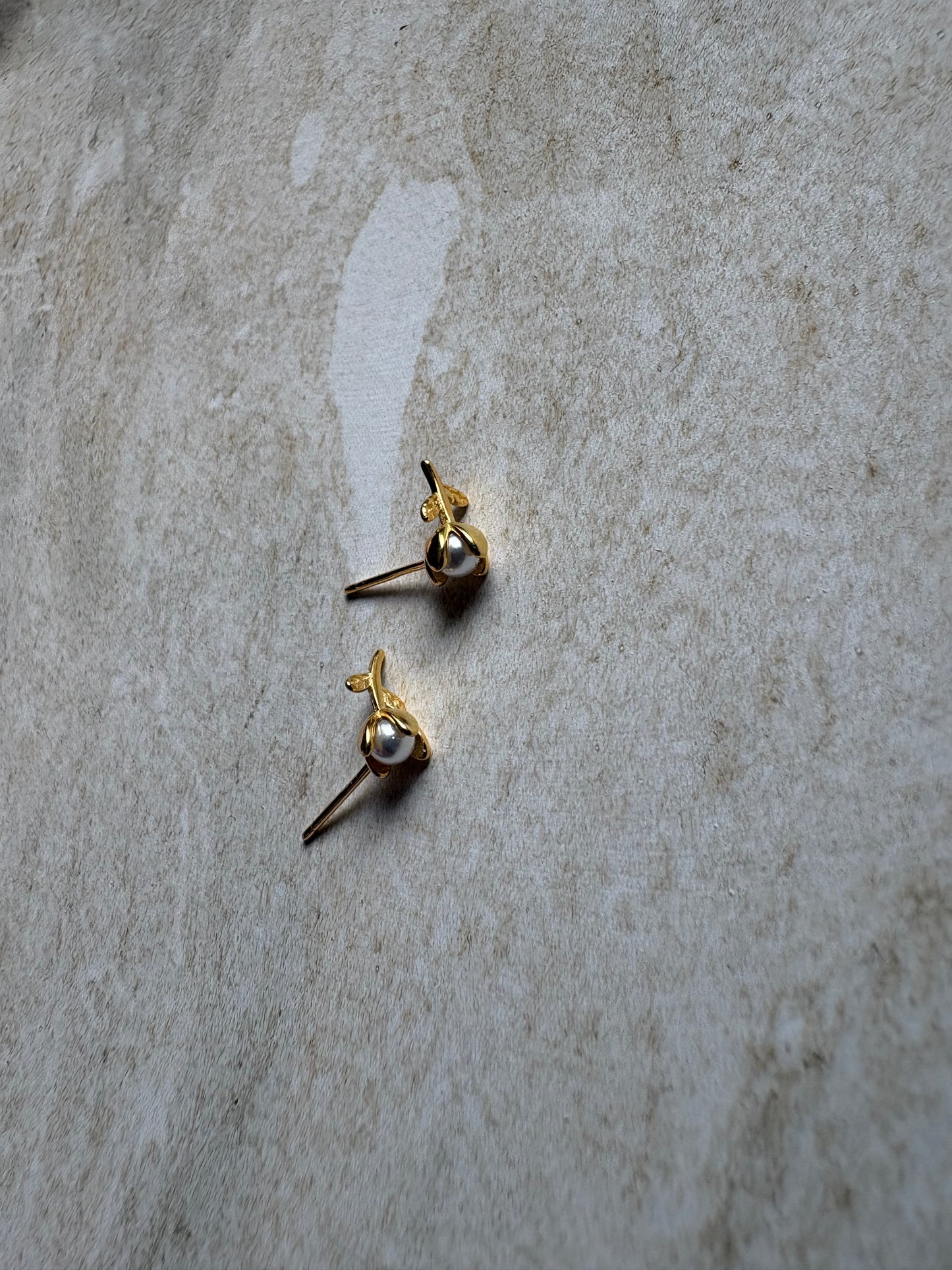 The Angie Studs